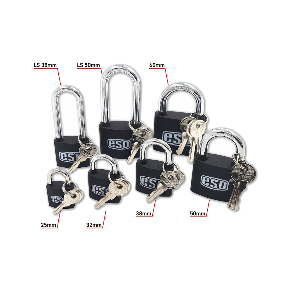 Kłódka pałąkowa ESO